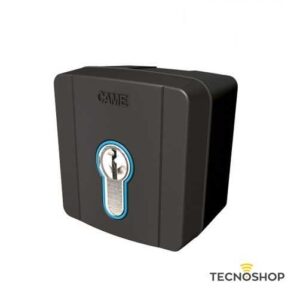 CAME SELETTORE A CHIAVE DA ESTERNO SELD1K01 GRIGIO