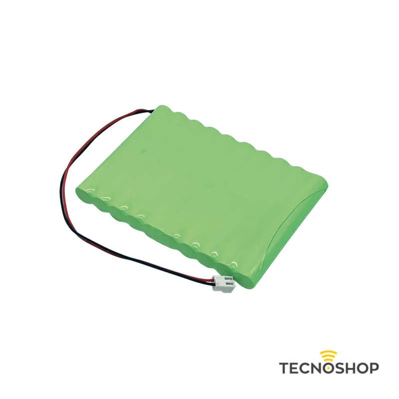 KEY KIT BATTERIA 1,3Ah E CARICABATTERIA PER SCORREVOLE 400KG