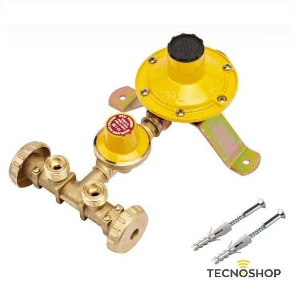 MINICENTRALINA 2 ATTACCHI CON REGOLATORE 1° ST. 12KG/H + 2° ST. 10KG/H