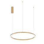 Immagine per LED-HOOP-S60-ORO