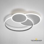 Immagine per LMS10.21.BI