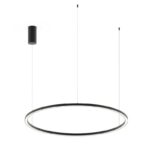 Immagine per LED-HOOP-S120-NER