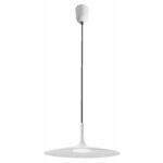 Immagine per 01-1405