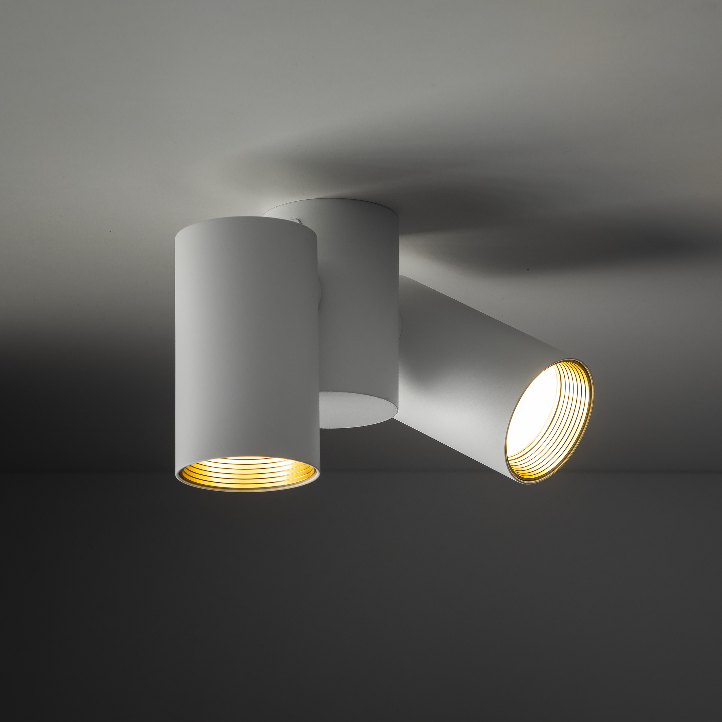 TK LIGHTING SPOT ORIENTABILE AMIS 2xGU10 BIANCO - immagine 3