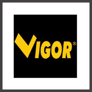 VIGOR