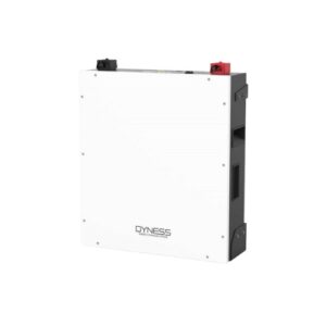 DYNESS BATTERIA A48100 LITHIO 4,8 kWh 100A 48V PENSILE O IMPILABILE