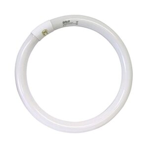 REER LAMPADA NEON CIRCOLARE ATTACCO G10Q 32W 6500K