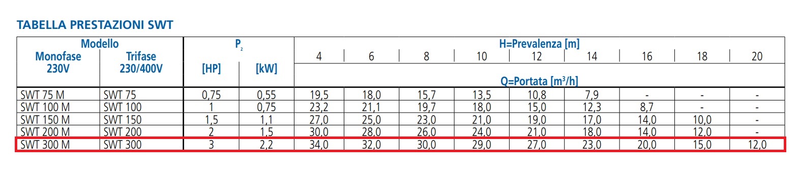 EBARA POMPA PER PISCINA SWT 300 DA 3HP TRIFASE - immagine 6
