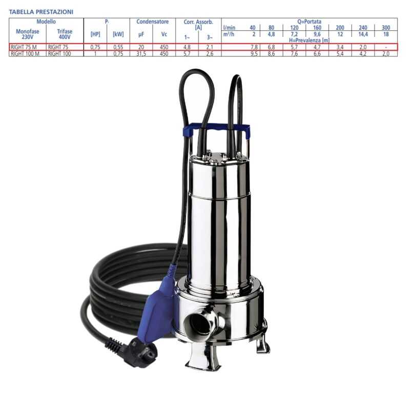 EBARA POMPA PER ACQUE SPORCHE RIGHT DA 0,75HP MONOFASE - immagine 2