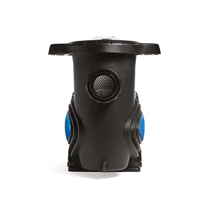 EBARA POMPA PISCINA SWX 300 M DA 2,0HP MONOFASE - immagine 2
