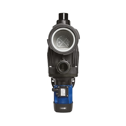 EBARA POMPA PISCINA SWX 300 M DA 2,0HP MONOFASE - immagine 3